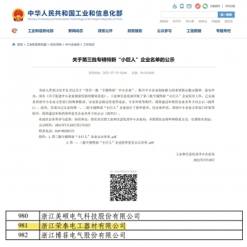 国家级“专精特新”小巨人企业